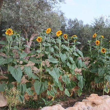 Uliwood Otel Caltanissetta Dış mekan fotoğraf