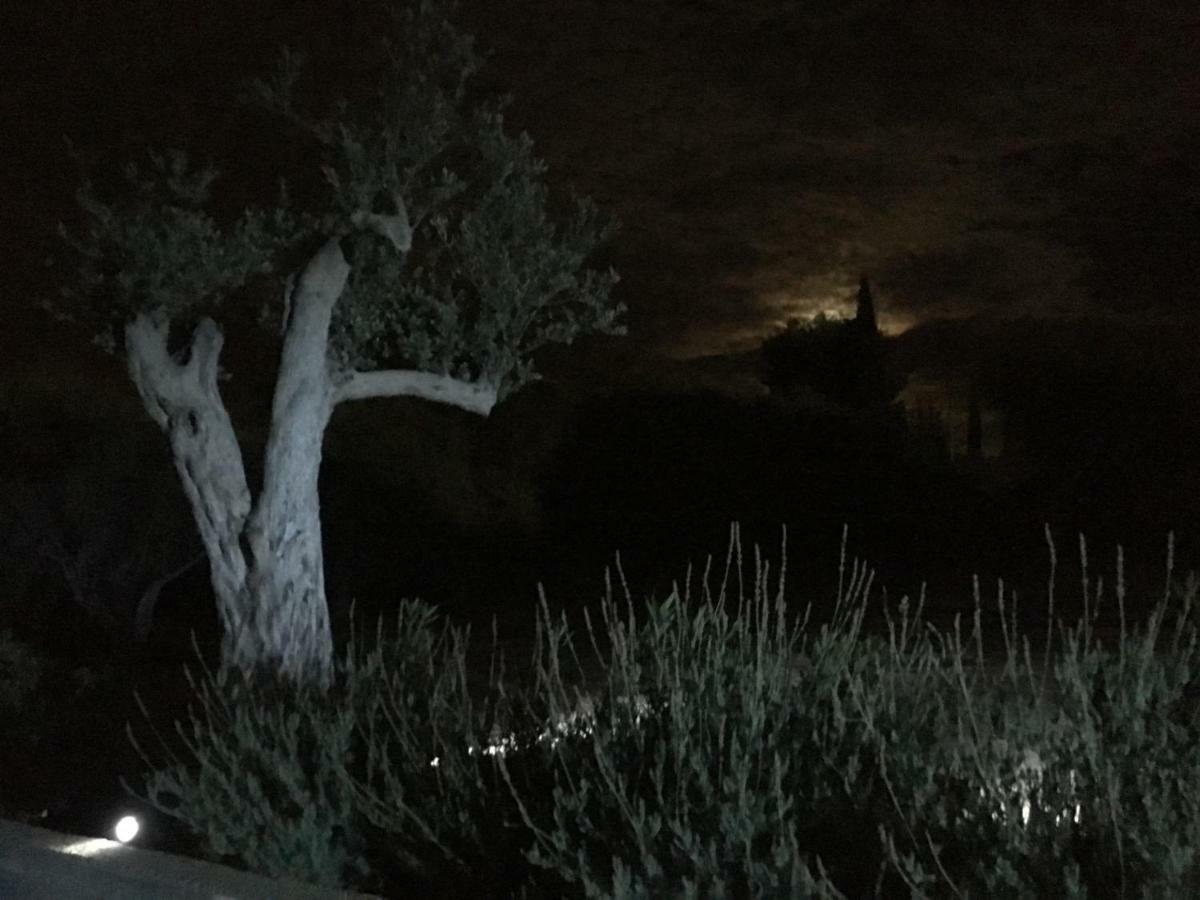 Uliwood Otel Caltanissetta Dış mekan fotoğraf